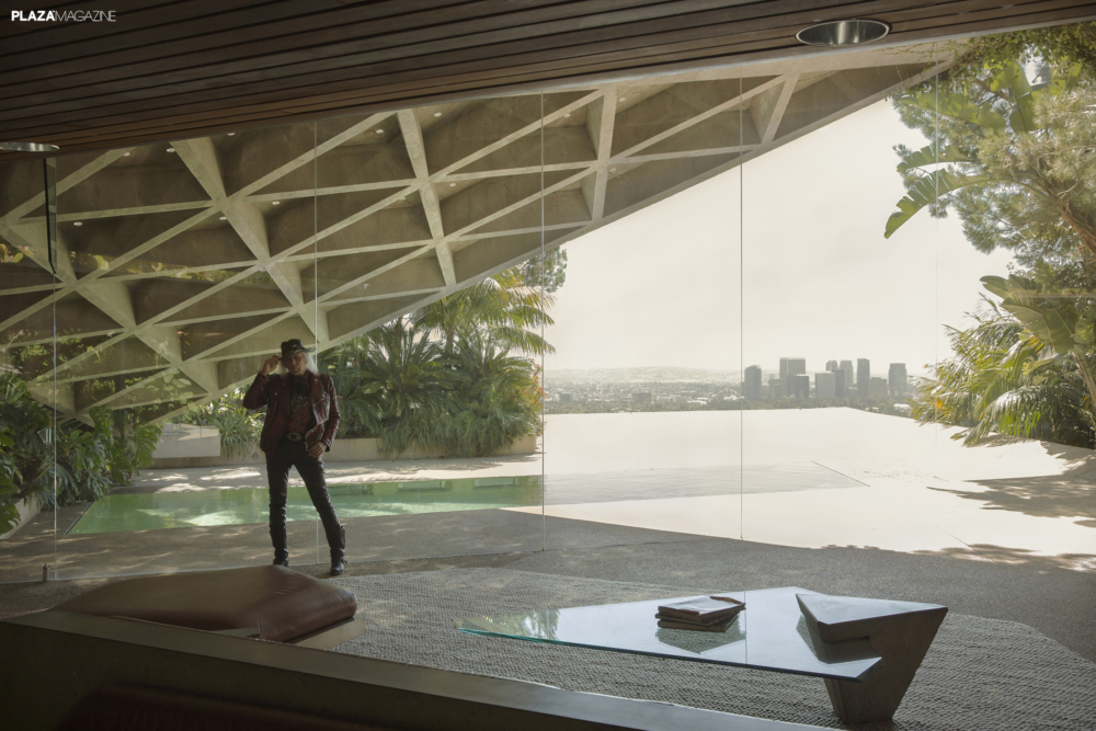 Plaza Magazine – James Goldstein